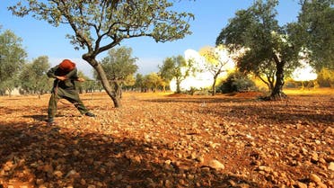 A rebel fighter in Dahiyet al-Assad fires a shell towards regime-held Hamdaniyah neighbourhood, west Aleppo city. (Reuters)
