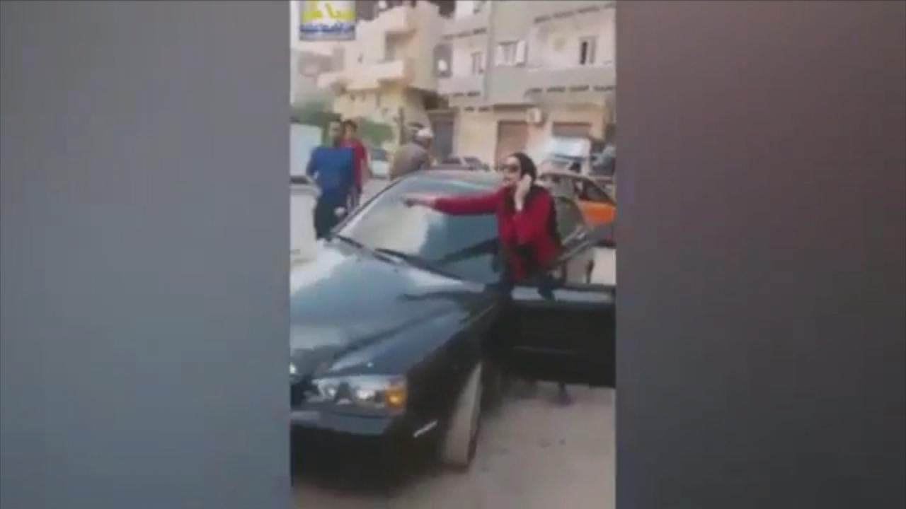 جانب من الشجار