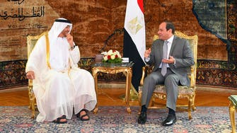 Sisi receives Abu Dhabi crown prince in Cairo 