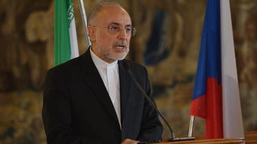 Ali Akbar Salehi, head of Iran's Atomic Energy Organisation addresses a press conference with the Czech foreign minister on May 2, 2016, in Prague.  Michal Cizek / AFP