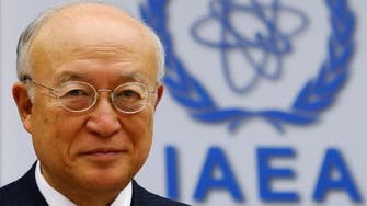Iran discusses nuclear ships plan with IAEA chief 