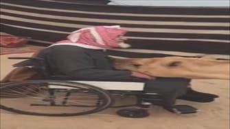 Video captures heartwarming moment camel comforts elderly Saudi man 
