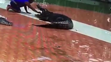 Trainer Sumet Thongkhammuan was entertaining crowds at the Bung Boraphet ‘Show of Crocodiles’ on New Years Eve when the crocodile snapped its mouth shut. (via YouTube)
