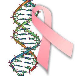 اكتشاف مذهل قد يقضي على سرطان الثدي في العالم A2ce1fce-c810-4962-8a0e-e19110977ddf