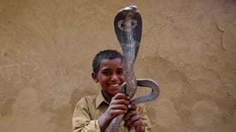 India snake charmers struggle to save dying tradition
