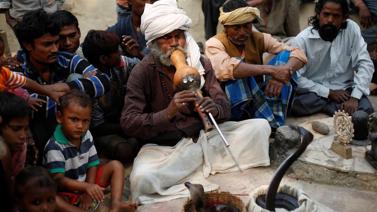 Snake Charmers in India Defy Laws to Practice Tradition: Photos