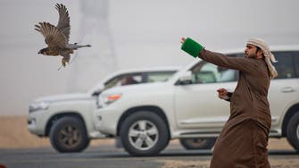 PHOTOS: What football is to Brazilians, falconry is to the Gulf