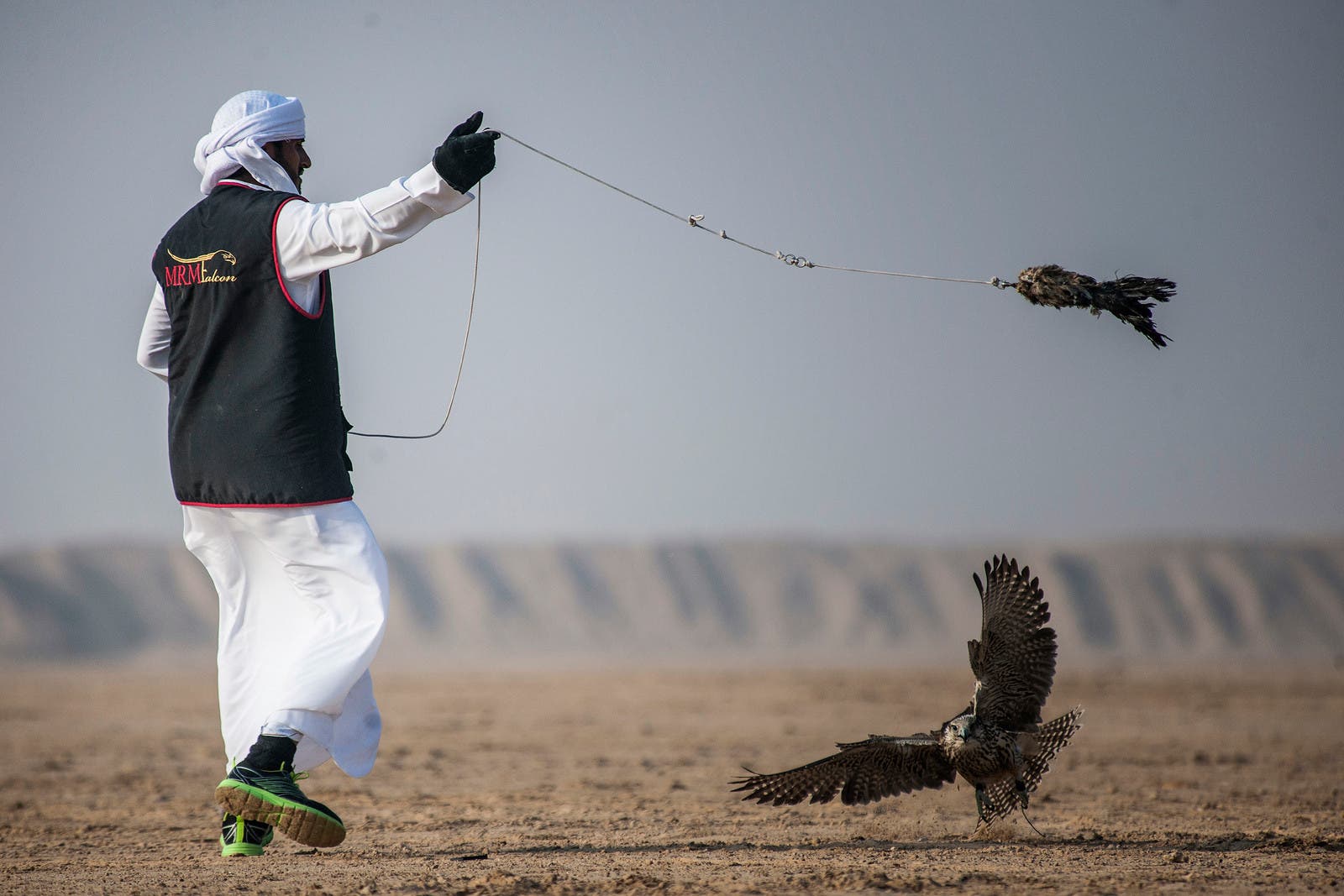Falconry in the Gulf