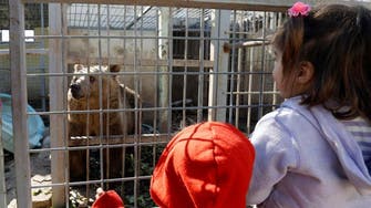 Animals starve in Mosul’s decimated zoo 