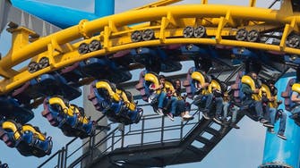 Saudi fund PIF looking for stake in Six Flags, says report