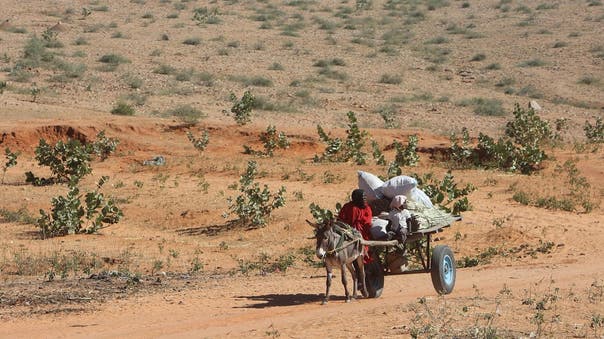 Archaeologist’s Sudan discovery unlocks African secrets