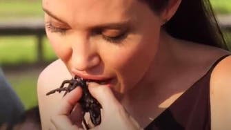 WATCH: Angelina Jolie feasts on scorpion with children during Cambodia trip