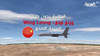 The story of the Wing Loong drone and the Egyptian battle against ISIS in Sinai