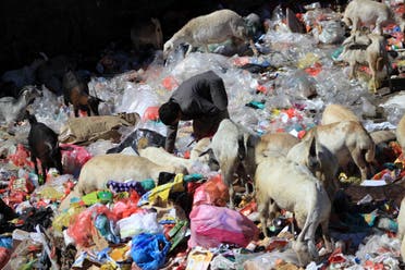 A Yemeni child collects items from the rubbish in the capital Sanaa. (File photo: AFP)