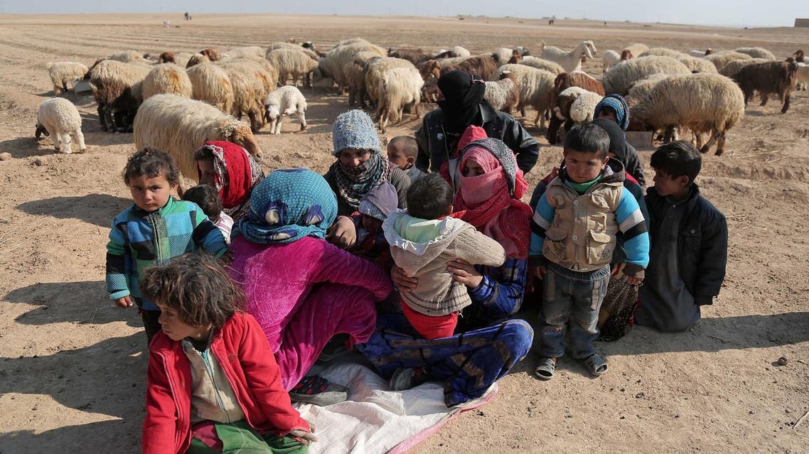 Internally displaced Syrians who fled Raqqa city rest near sheep in northern Raqqa province, Syria February 6, 2017. REUTERS