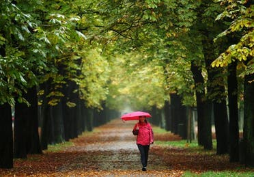 A woman enjoys a walk along an avenue of trees at Prater recreation area on a rainy autumn day in Vienna, Austria, October 16, 2015. (Reuters)