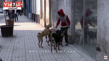 egypt streetchild