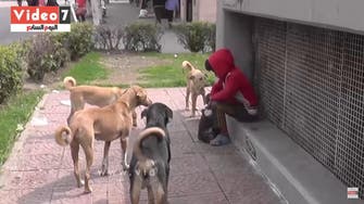 Viewers in tears over heartbreaking Egyptian street child with dogs story