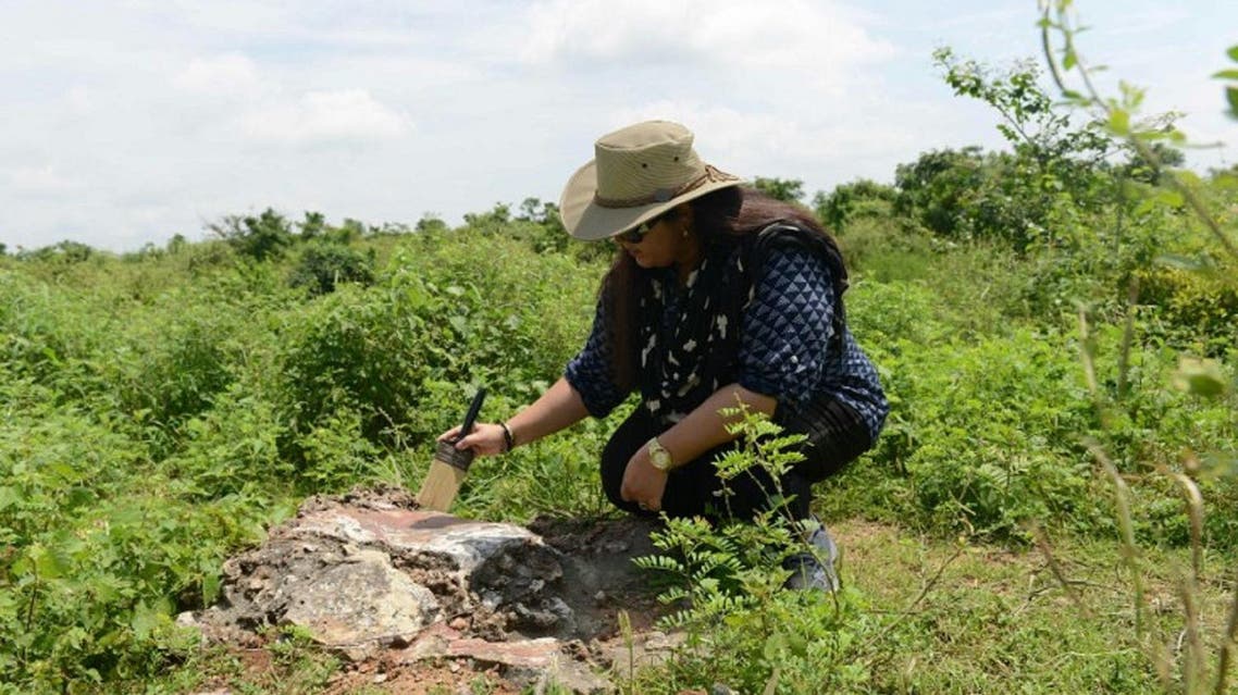 Scientists in India uncovered a pair of 1.6 billion-year-old fossils that appear to contain red algae, which may be the oldest plant-like life discovered on Earth. (File Photo: AFP)
