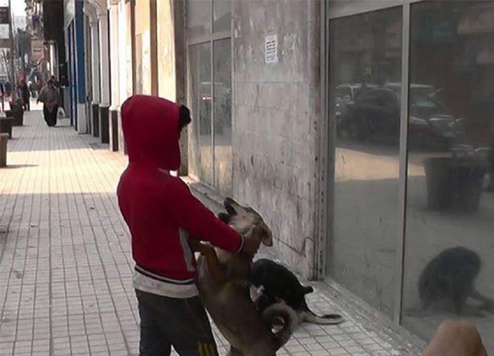 Abdulrahman struck up companionship with a pack of stray dogs, saying: “Dogs are more compassionate than human beings.”