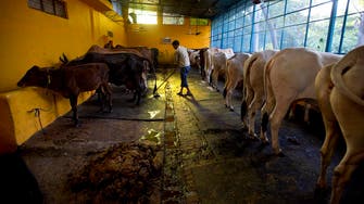 Butcher shops razed amid crackdown on beef in India 