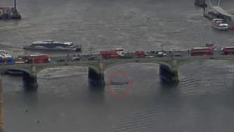 WATCH: Moment woman jumps into Thames River after UK Parliament attack