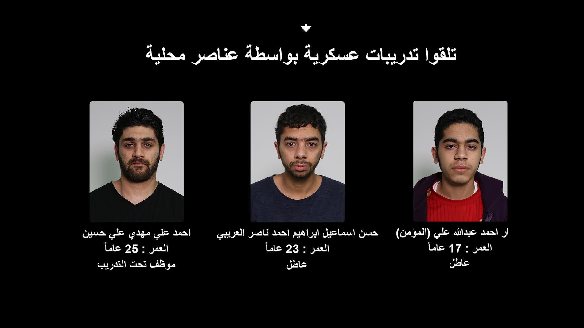 Bahrain arrests terror cell, foils assassination plots