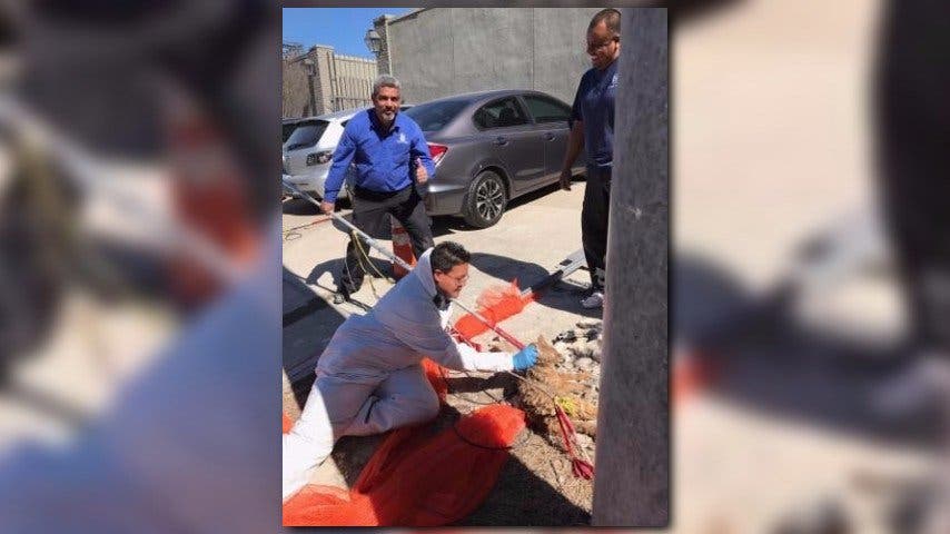 من عملية إنقاذ هارفي