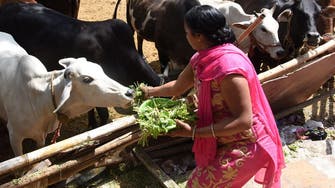 India police arrest three over cow vigilante murder