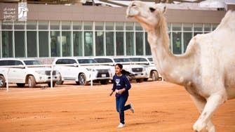 Who is the girl pictured running alongside a camel during a Saudi festival?