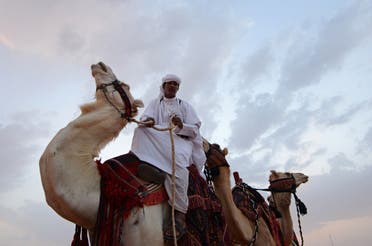 Saudi Arabia’s King Abdulaziz Camel Festival AFP