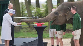 Trumpet voluntary: Elephants ‘excited’ by banana-toting Queen Elizabeth