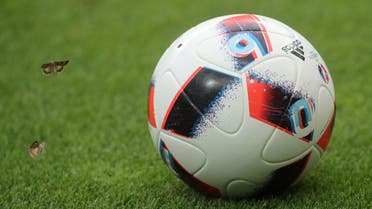 Euro 2016 official match ball sits on the pitch before the star of the Euro 2016 final soccer match, July 10, 2016. (File Photo: AP)