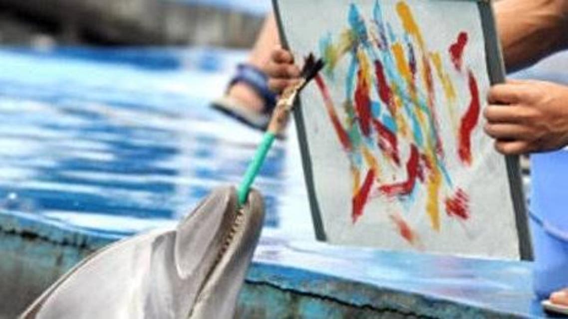 هل لدى الحيوانات إدراك ووعي بالجمال مثل الإنسان؟