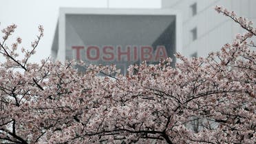 DATE IMPORTED: 11 April, 2017 The logo of Toshiba Corp is seen behind cherry blossoms at the company's headquarters in Tokyo, Japan April 11, 2017. (Reuters)