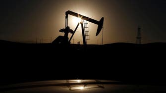 US plan to sell oil reserve shows declining import needs