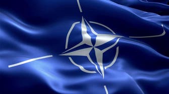 الناتو يحاول تهدئة التوتر بين موسكو وواشنطن     