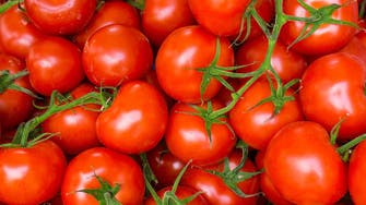 ان کریڈیبل انڈیا: ٹماٹروں کی حفاظت سبزی فروشوں نے باؤنسر گارڈز رکھ لئے