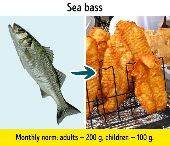 سی باس