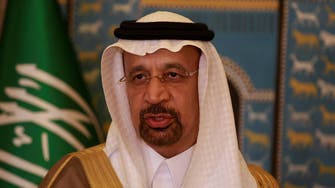 وزير الطاقة السعودي: "سابك" تدرس عدة استثمارات بأميركا