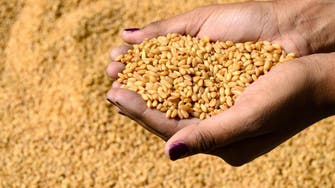 السعودية تؤمن احتياجاتها من القمح حتى بداية أغسطس 2022