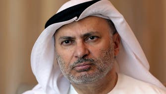 UAE: Qatar seeking protection from two non-Arab states is tragic 