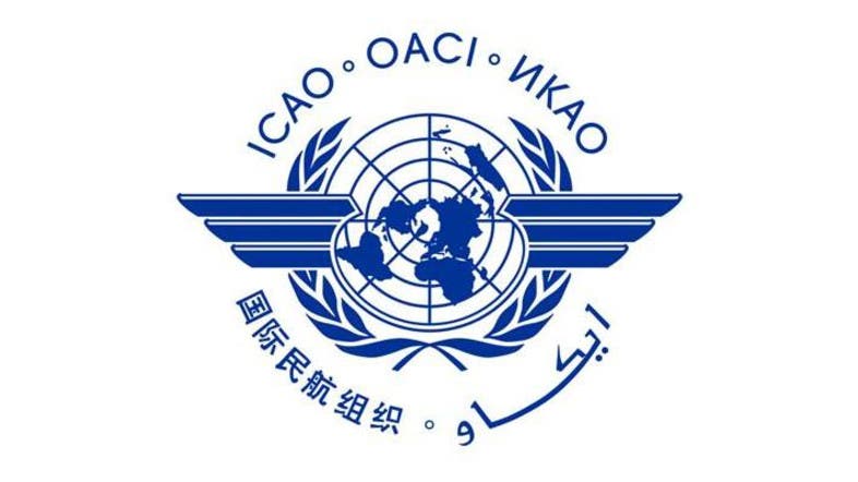 Global aviation bloc ICAO discusses air traffic safety amid Qatar ...