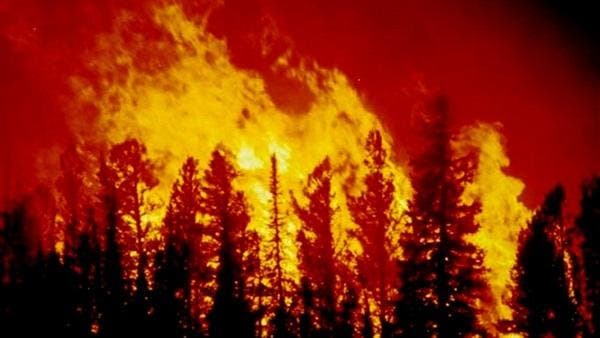 كاليفورنيا.. إجلاء 1500 شخص بسبب حرائق الغابات A6f62582-d329-4c5e-8333-ae701708f23a_16x9_600x338