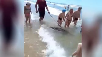 No crocodile tears! Russian walks ‘pet reptile’ on a leash at the beach