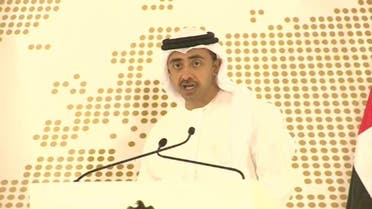uae foreign minister