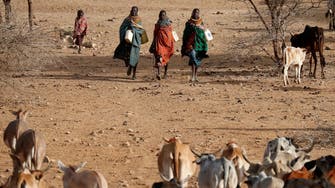 Islamic finance provides Kenyans with cushion against drought
