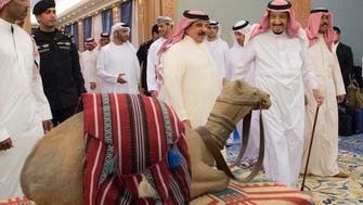 Saudi Arabia establishes the first official camel club