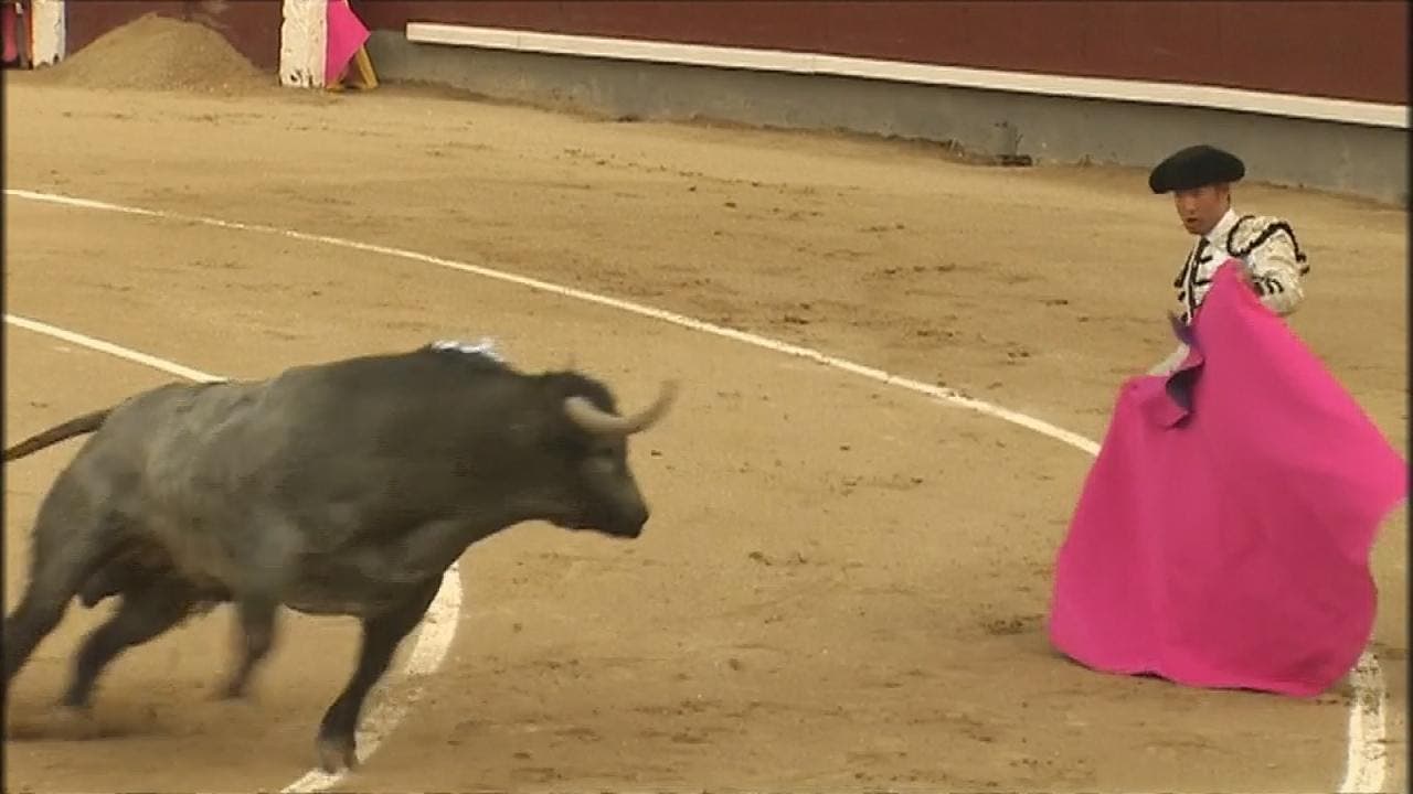  جزر البليار الاسبانية تحاول منع رياضة مصارعة الثيران 