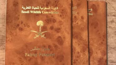 بالصور تفاصيل جواز سفر الصقر السعودي